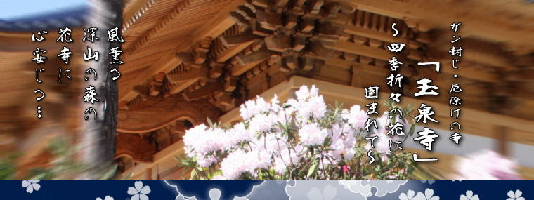 ガン封じ 厄除けの寺 玉泉寺 四季折々の花に囲まれて