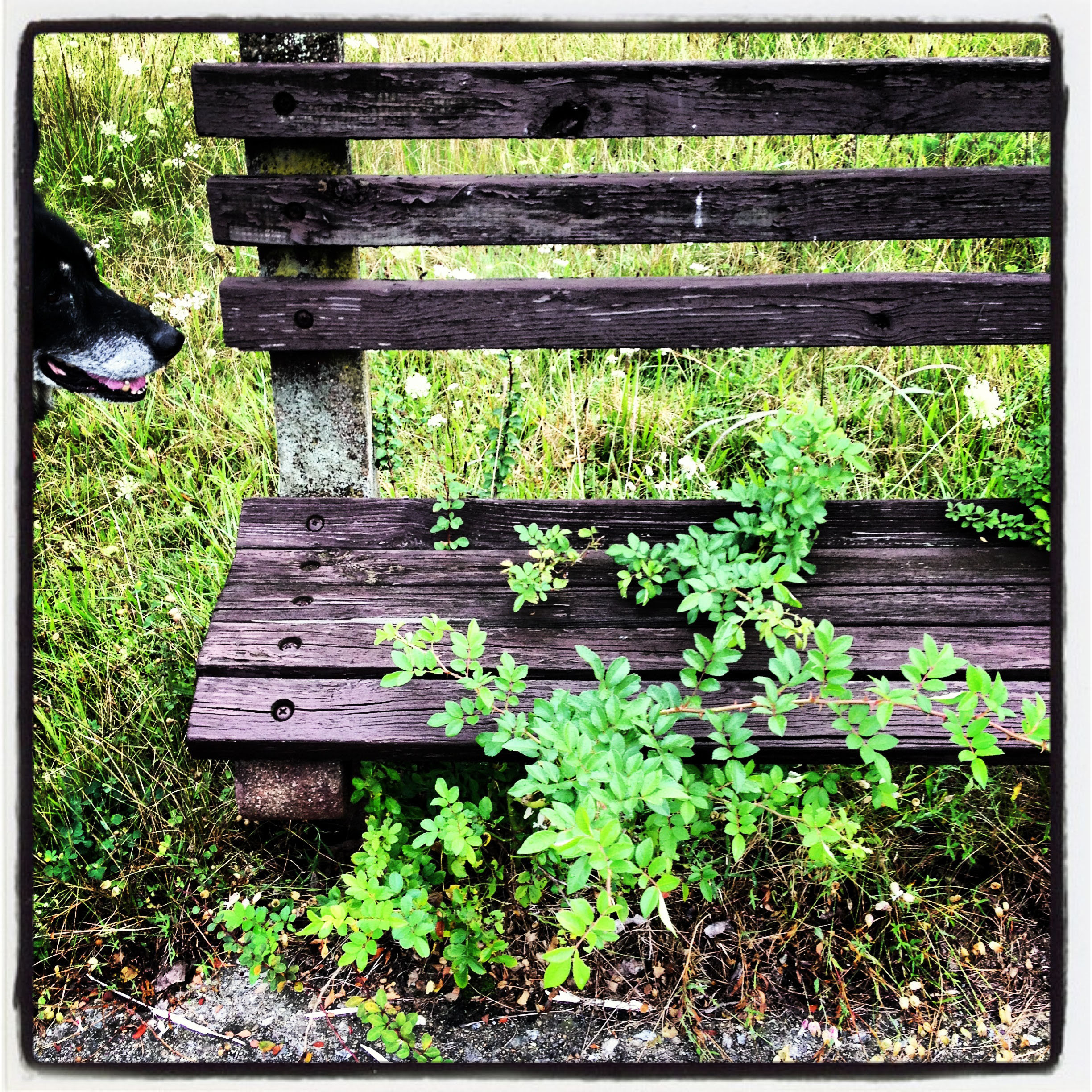 Lake Sebago Beach | Harriman Beaches - | My Harriman
