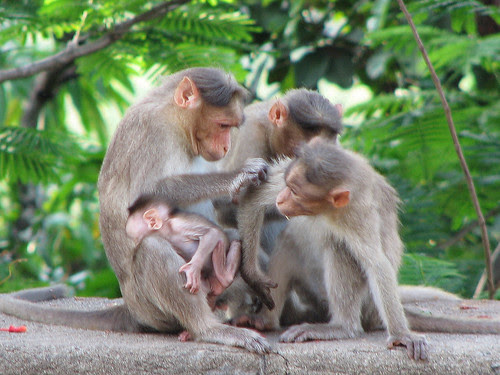 Weekend is the only leisure we get