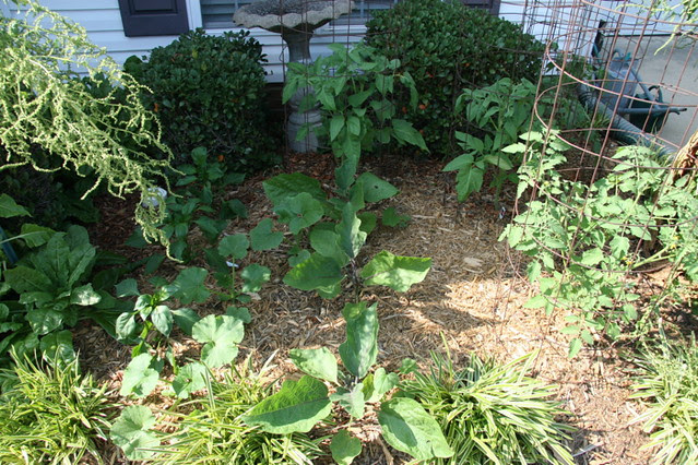 garden 2