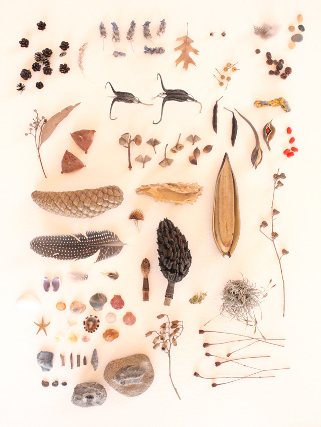 Nature Collection