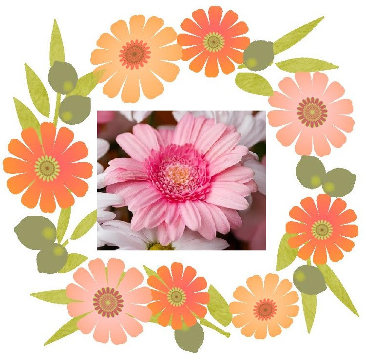 笑顔で元気 結寿 明日への一言 その24 感謝が花言葉 笑顔で元気 楽天ブログ