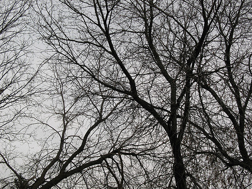 Darknovembersky1