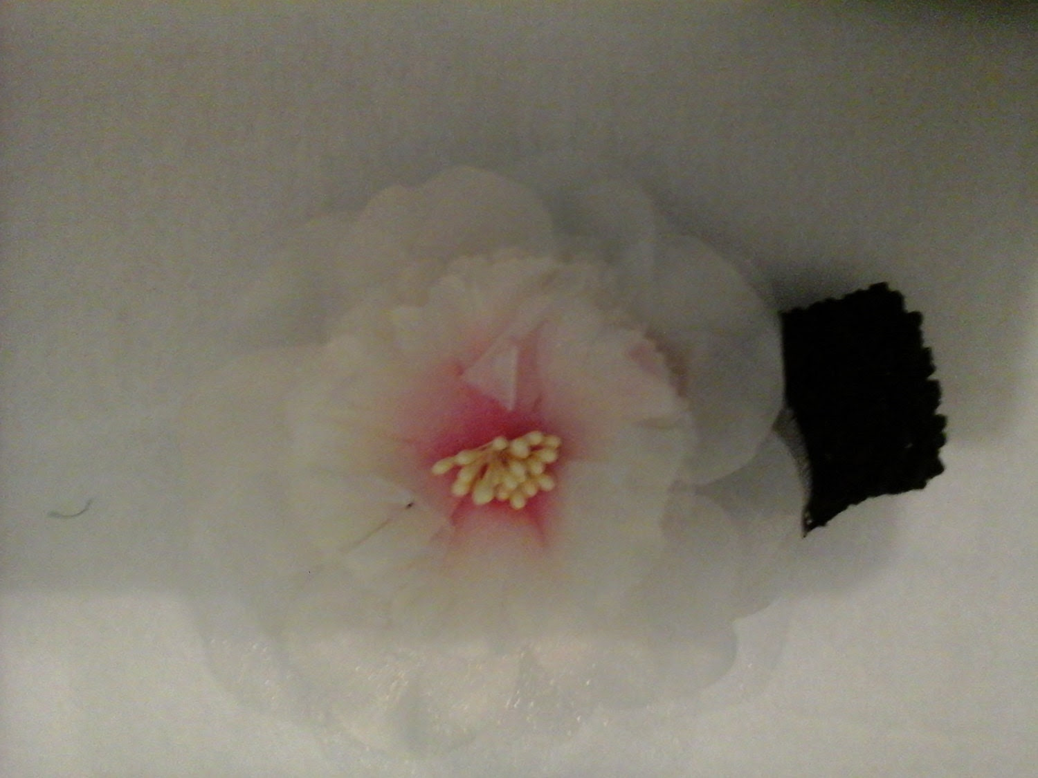 handmade baby headband