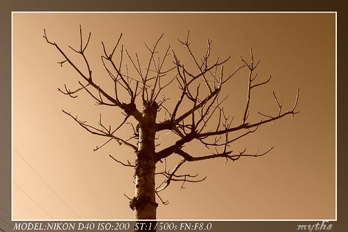 CSC_0310