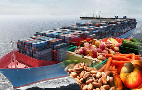 CONTEMPORARY STEP-BY-STEP GUIDE TO EXPORTING