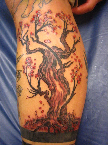 japanese cherry blossom tree tattoos upper arm tattoo designs design your 