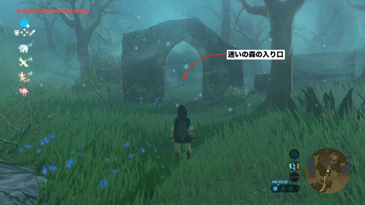 迷いの森の攻略法とマスターソードの入手場所 方法 についてまとめてみた ゲームオーバー