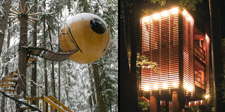 Unusual and Creative Tree Houses Seen On www.coolpicturegallery.net