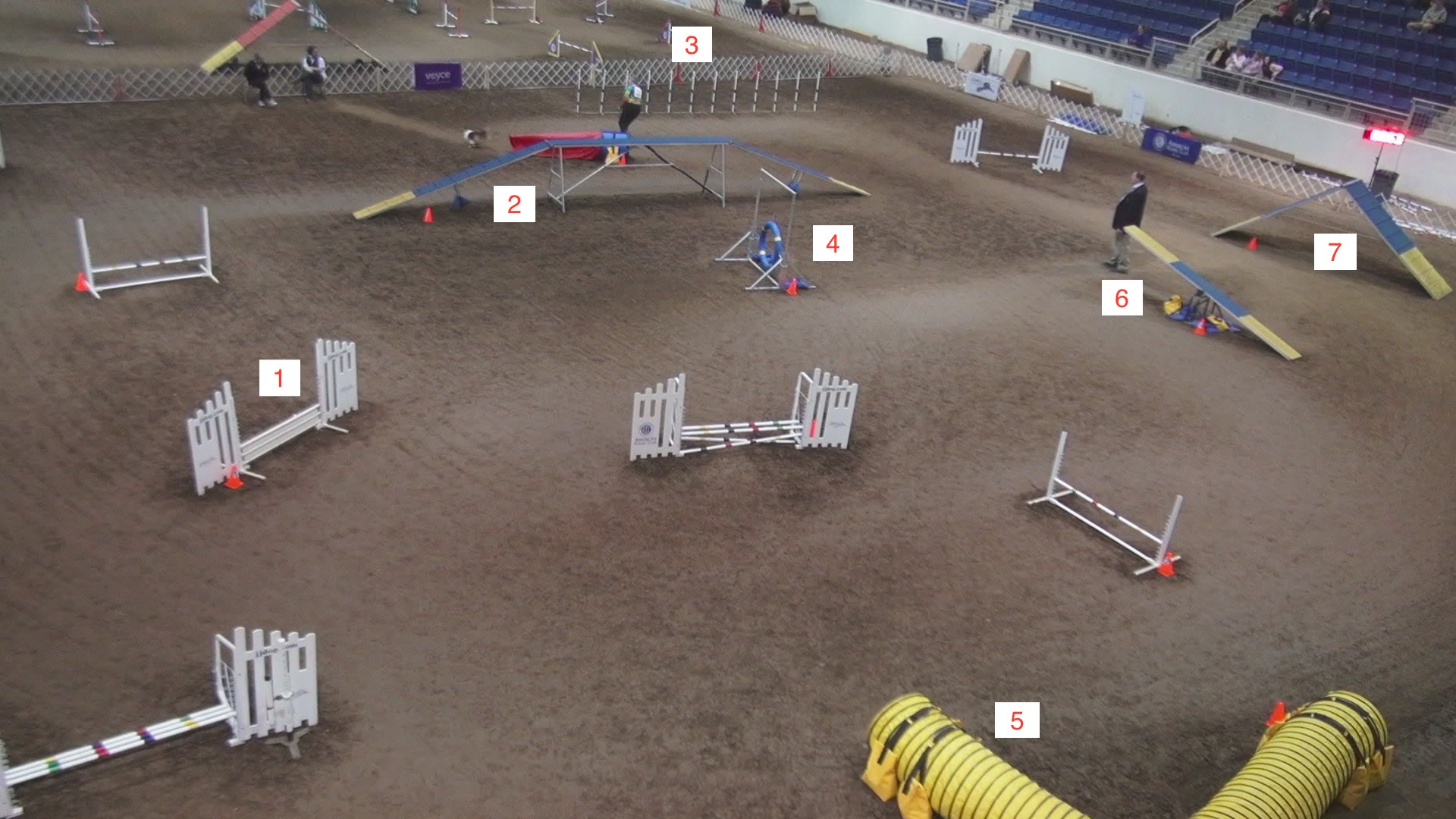 Dog Agility Competition FAQ: What You Should Know About ...