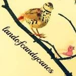 landofcandycanes