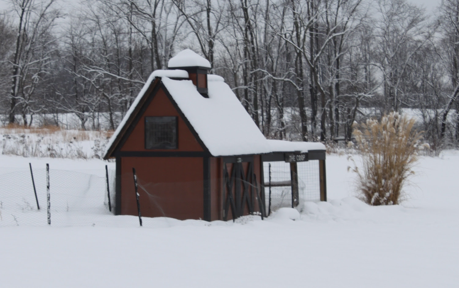 The Coop with it’s winter blanket With the door open during feeding ...