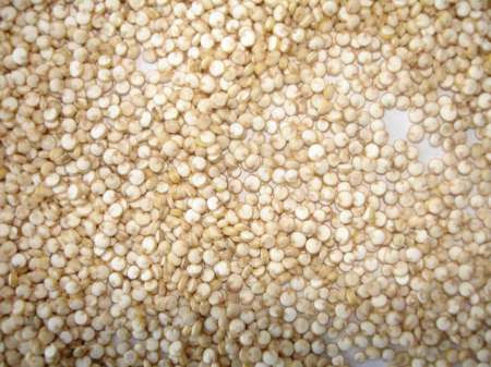 granos de quinoa