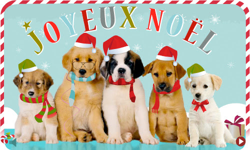 Carte Anniversaire Femme Avec Chien