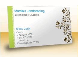 Vistaprint Deal: 250 FREE Business Cards :: Southern Savers