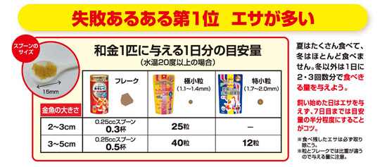 プロに聞く エサやりのコツ さかなの健康を考える食事の選びかた 熱帯魚のことなら みずものコム