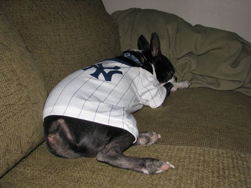 Willing the Yankees to win