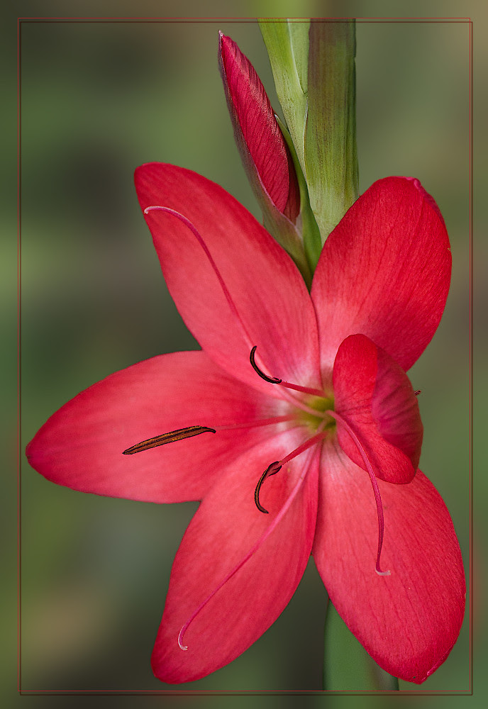 best of week 2012/43