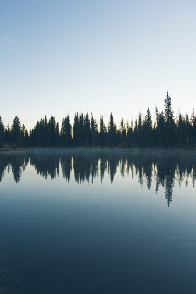 ​Ferries, Bears And Adventure Bikes In British Columbia