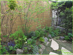 Pappus 野草と雑木の庭づくり