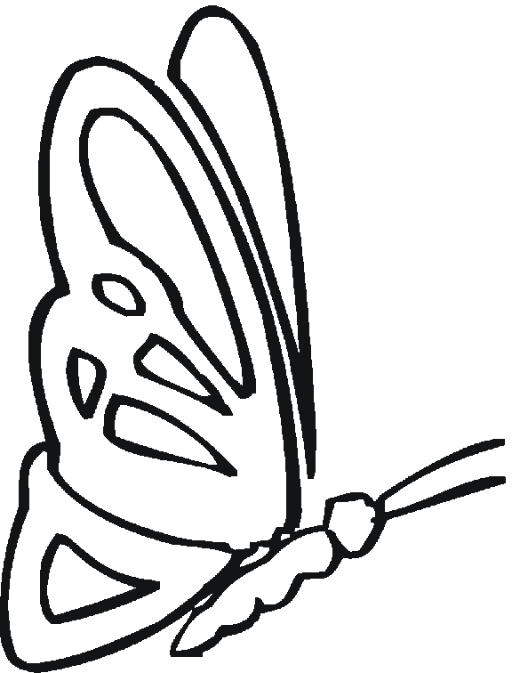 Printable insect coloring sheets for school kids to color and investigate, like this butterfly.