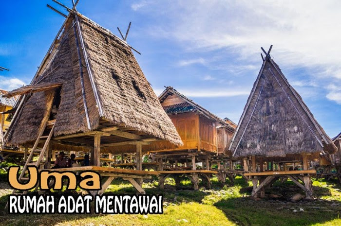 Rumah-adat-mentawai - DEWEEZZ