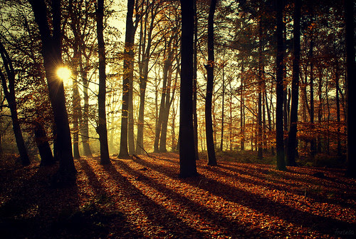 Not titled [explored]