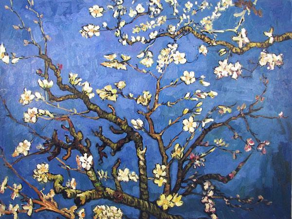 All In One Almond Tree
