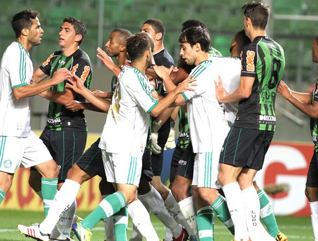 Confusão Palmeiras e América-mg (Foto: Paulo Fonseca / Futura Press)