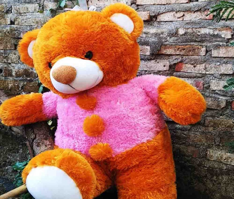 Jual Boneka Beruang Salsa Jumbo Warna Pink dan Coklat