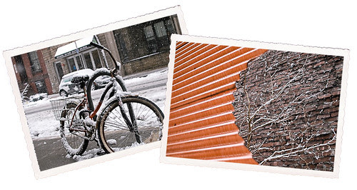 BicycleWindow