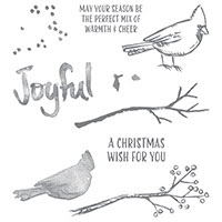 Joyful Season Photopolymer Stamp Set by Stampin' Up!