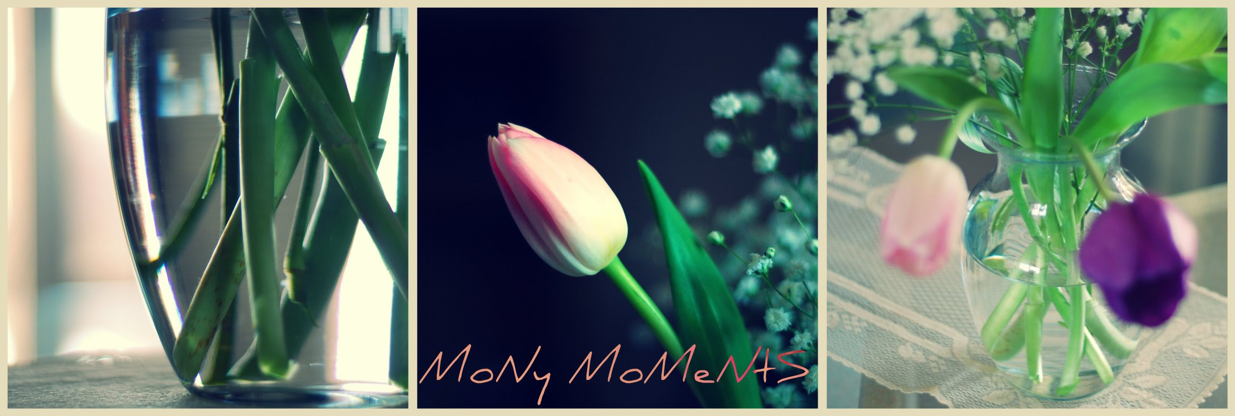 Mony Moments