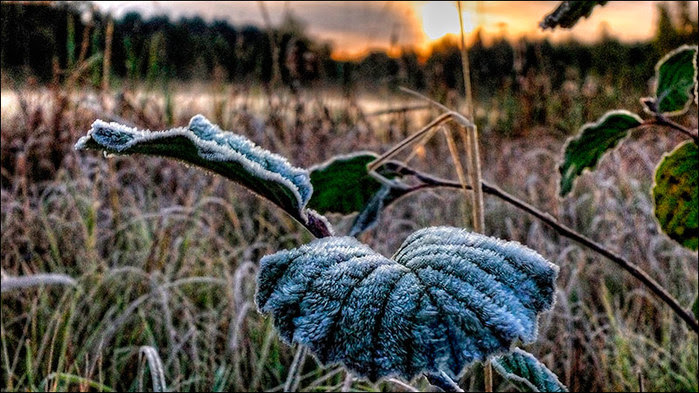Иней/3673959_9 (700x393, 118Kb)