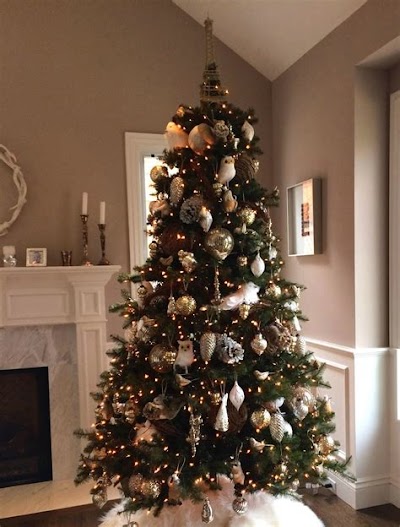 Pottery Barn Tree: A Relaxing And Rustic Bedroom Design