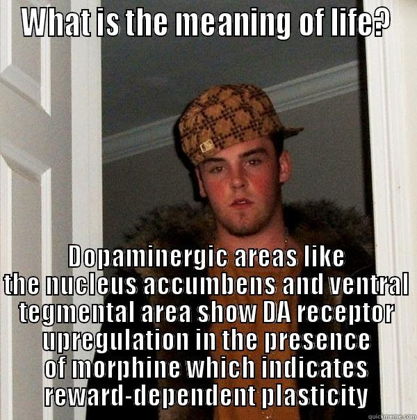 Life, what is the meaning? - quickmeme