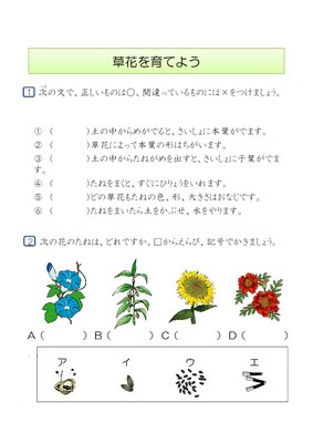 ドリルズ 小学3年生 理科 の無料学習プリント草花を育てよう