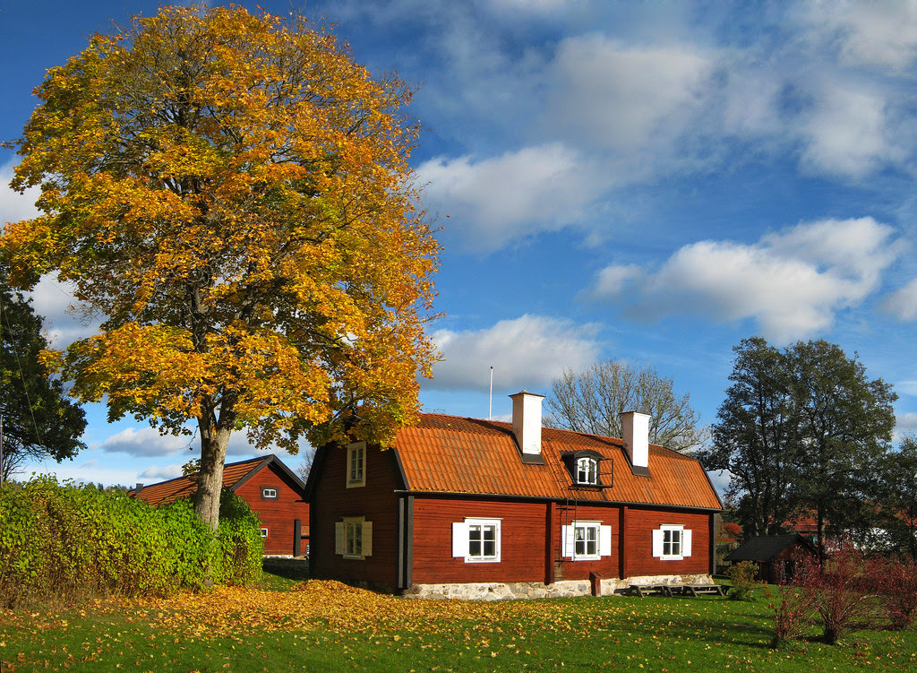 Autumn Scene