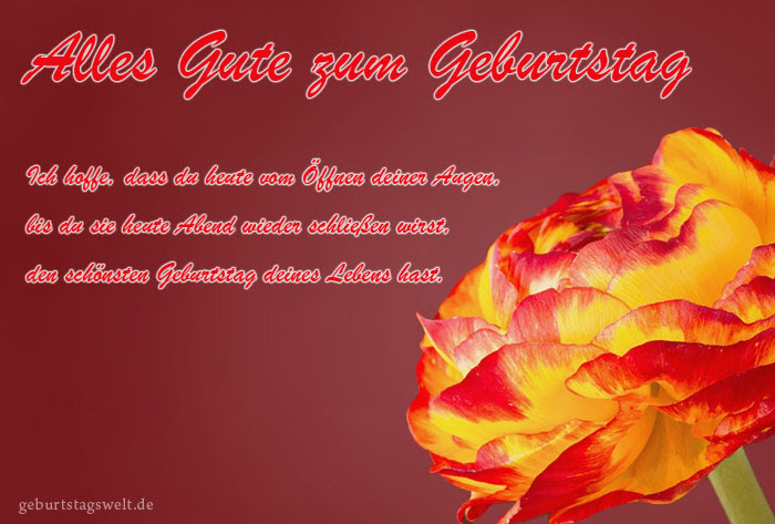 Kostenlose Geburtstagskarten Glückwünsche