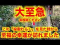 画像をダウンロード 座敷��らしの代理人10 319926-座敷���らしの代理人10