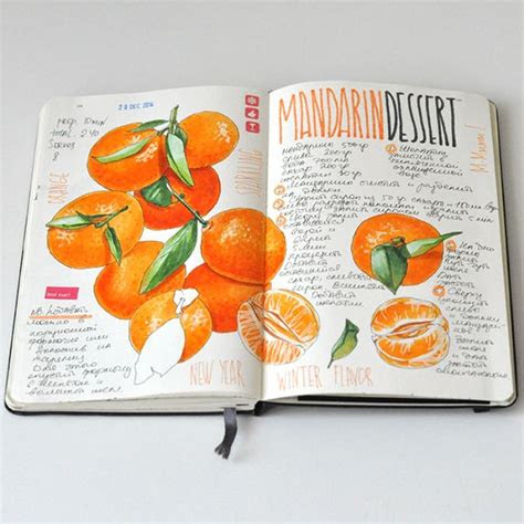 anna rastorguevas recipe journal   behance