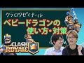 【人気ダウンロード！】 クラロワ ベビー ドラゴン 255473