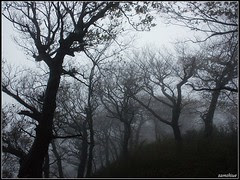 DSC07642