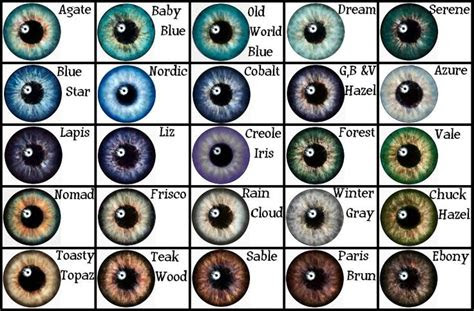 Many babies are born with blue eyes but depending on the amount of melanin in their iris you may see eye color changes between the ages of 3 and 6 months old. eye color chart from google search writing pinterest