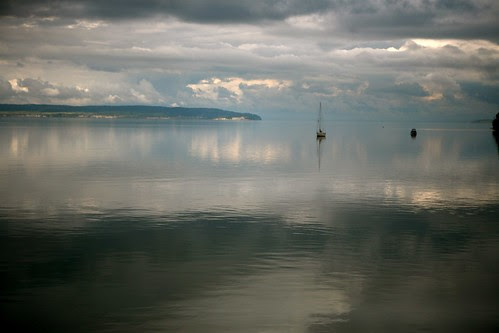Watery World by Seattle Daily Photo