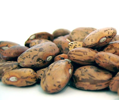 Pinto beans