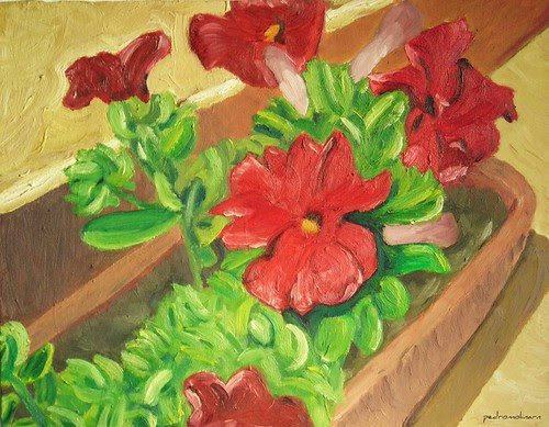 Un regal des de playa de patos