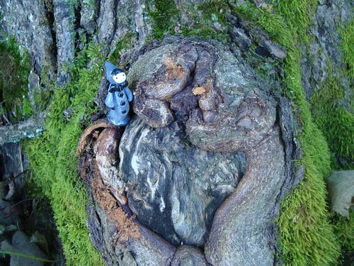 bpk poppet gnarled nub