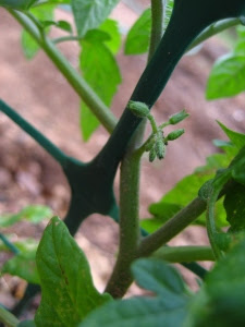 blog-315