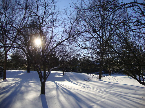 After the snow.  1/22/14